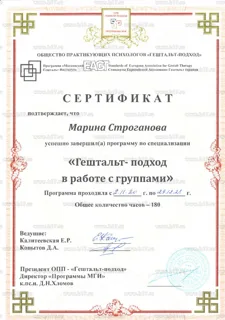 Диплом Марины Строгановой 1