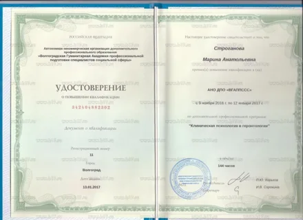 Диплом Марины Строгановой 16